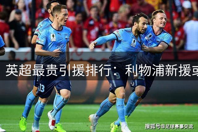 英超最贵引援排行：利物浦新援或跻身历史前十